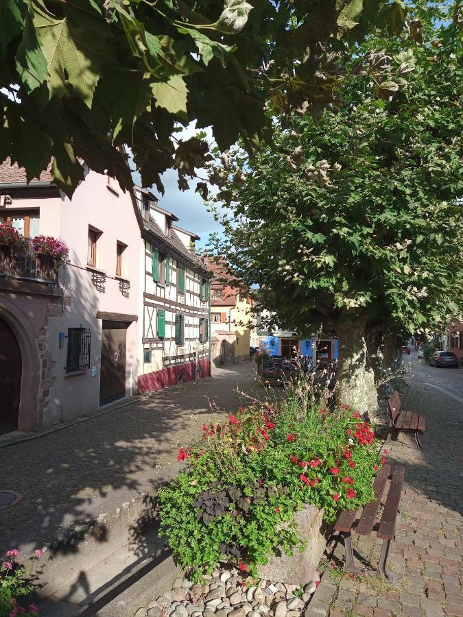 Gites Aux Fines Bulles D'Alsace Spa Privatif En Supplement Bergheim Exterior foto